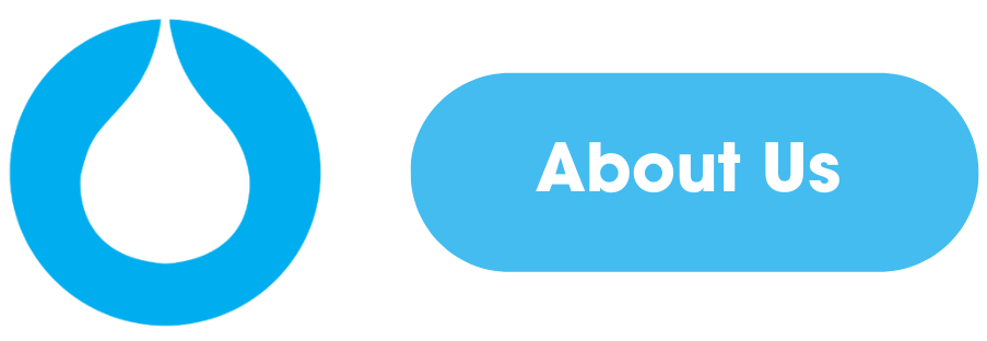 Ecowize logo